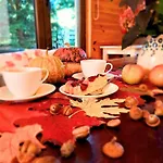 Wierzbowy Jar- Kameralny Przy Lesie W Rudawach Janowickich Stworzony Dla Osob Szukajacych Spokoju *