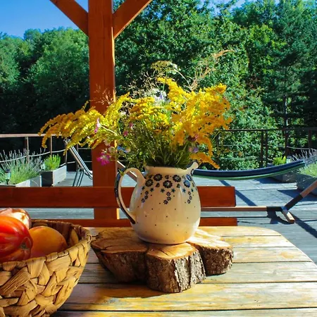 Wierzbowy Jar - Natura Spokoj Sauna Kominek Karkonosze Chata