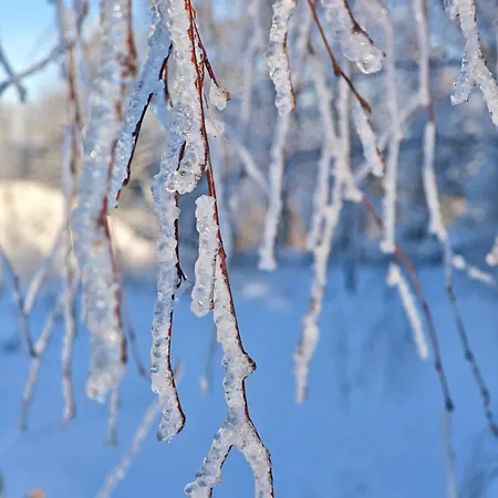 Wierzbowy Jar - Natura Spokoj Sauna Kominek Karkonosze *
