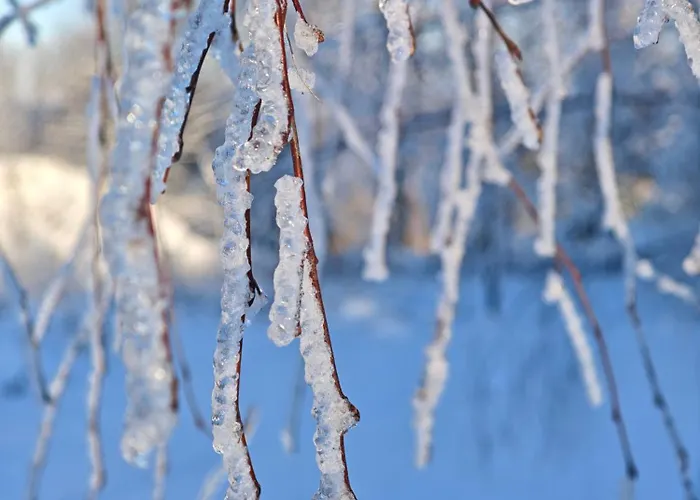 Wierzbowy Jar - Natura Spokoj Sauna Kominek Karkonosze *